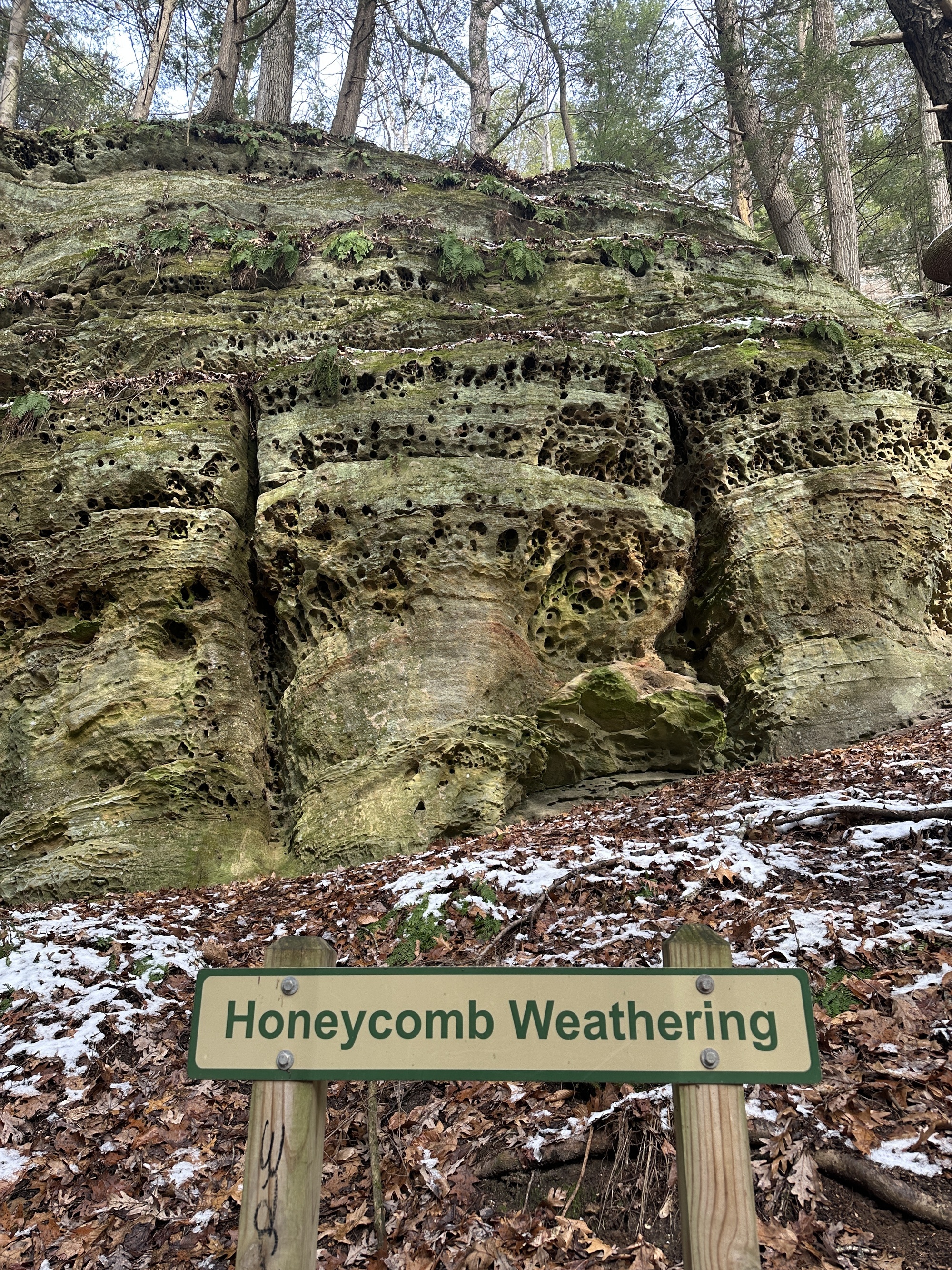 Honeycomb weathering