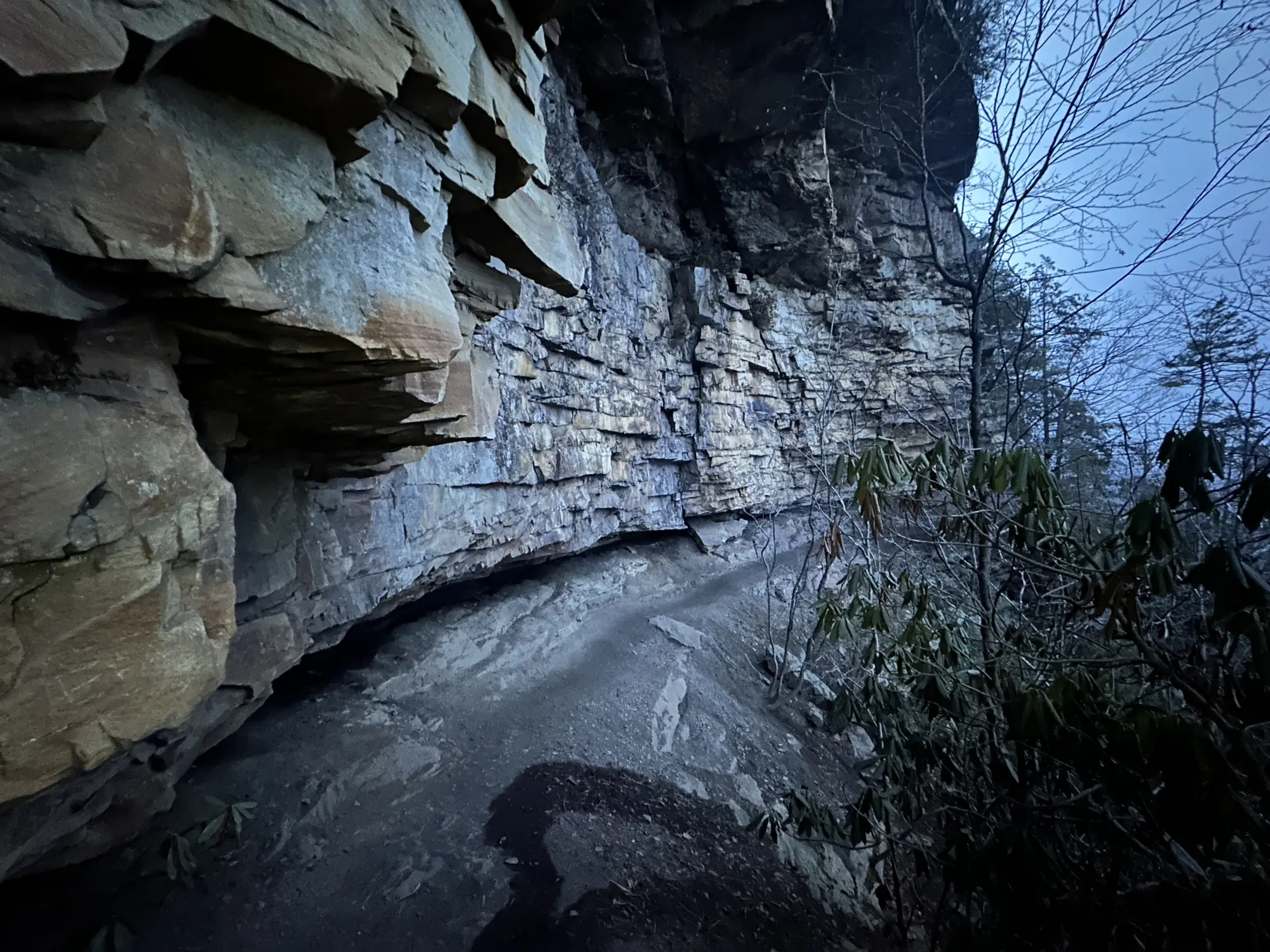 A trail goes by a rock wall
