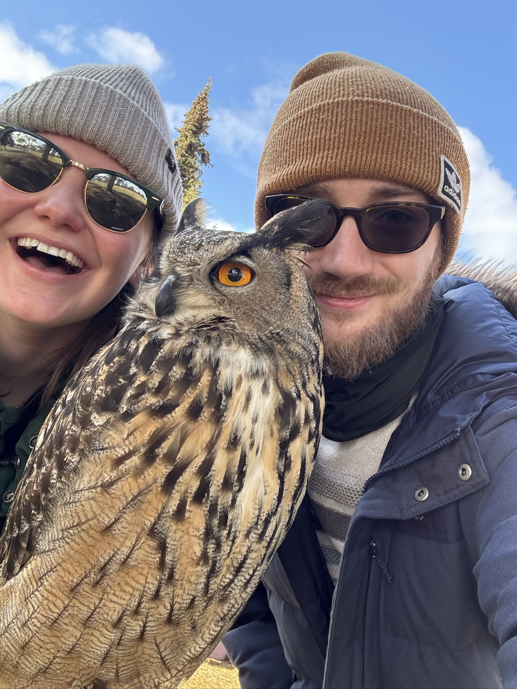 We're hanging out with an owl named Kira...