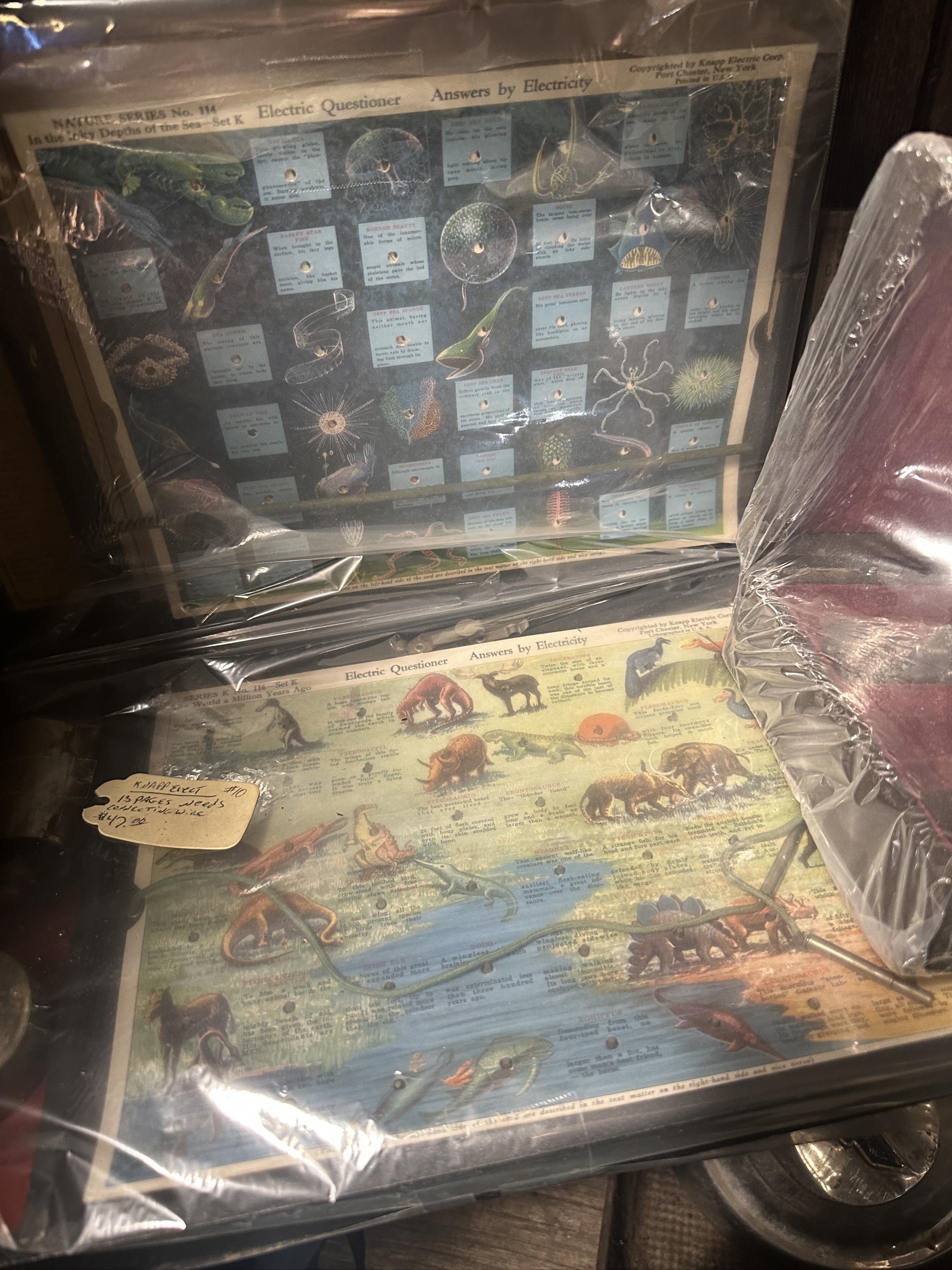 The electric questioner. Answers by electricity.