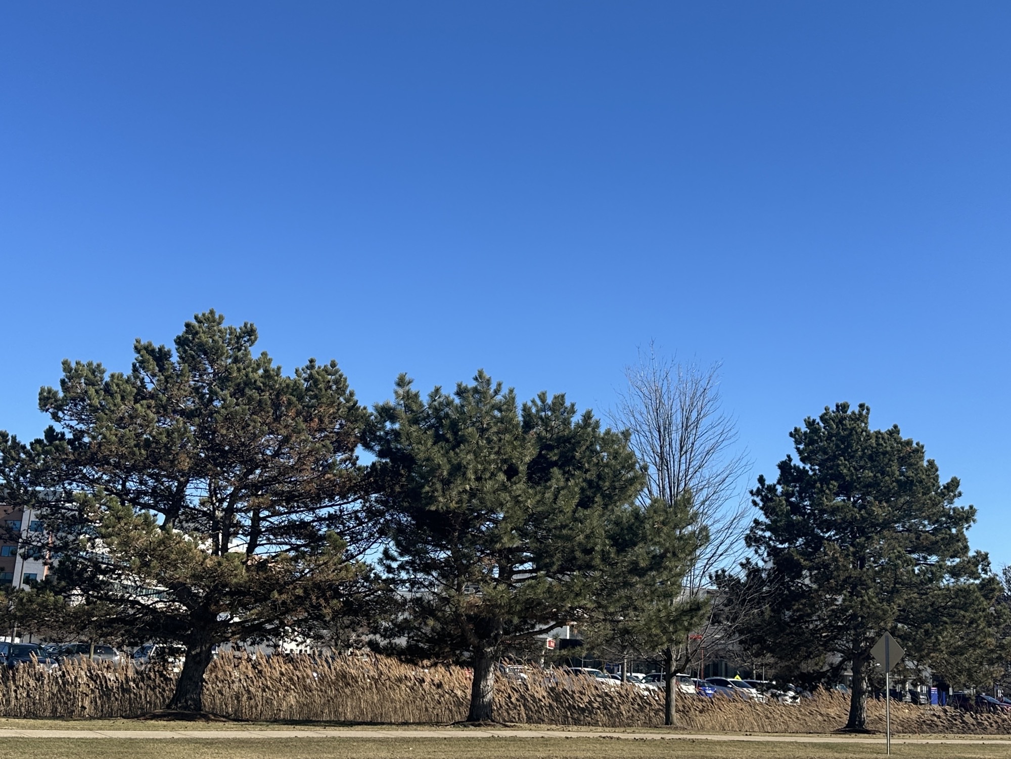 It's suddenly walk-out-the-door-without-a-coat-on weather. It's guy playing frisbee...