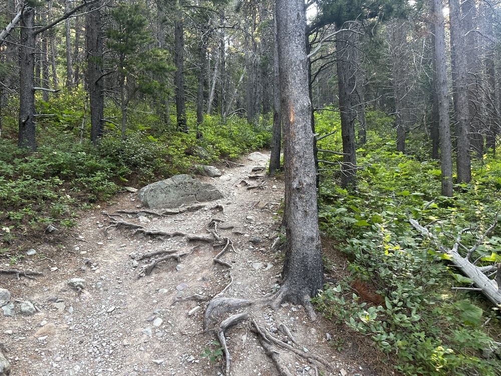 08:39