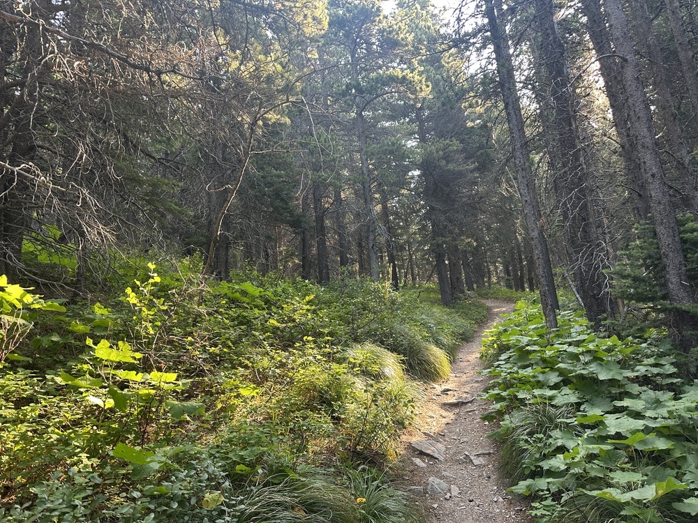 08:40