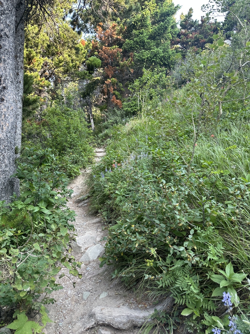 08:46