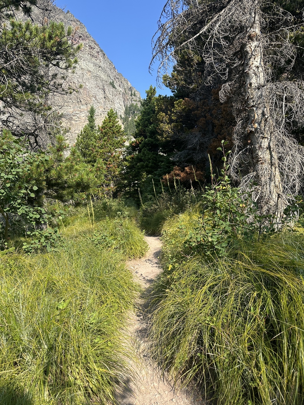 08:51
