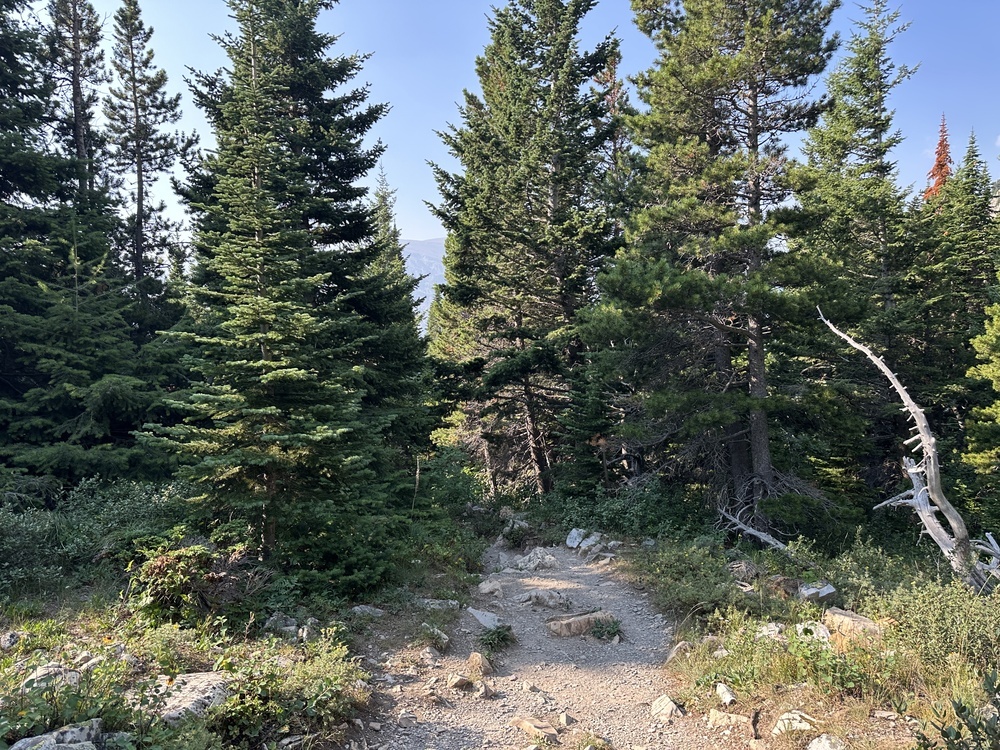 09:23