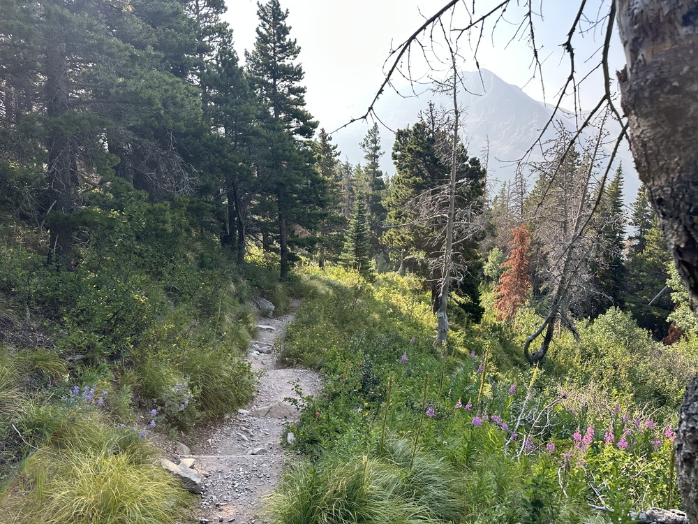 09:29