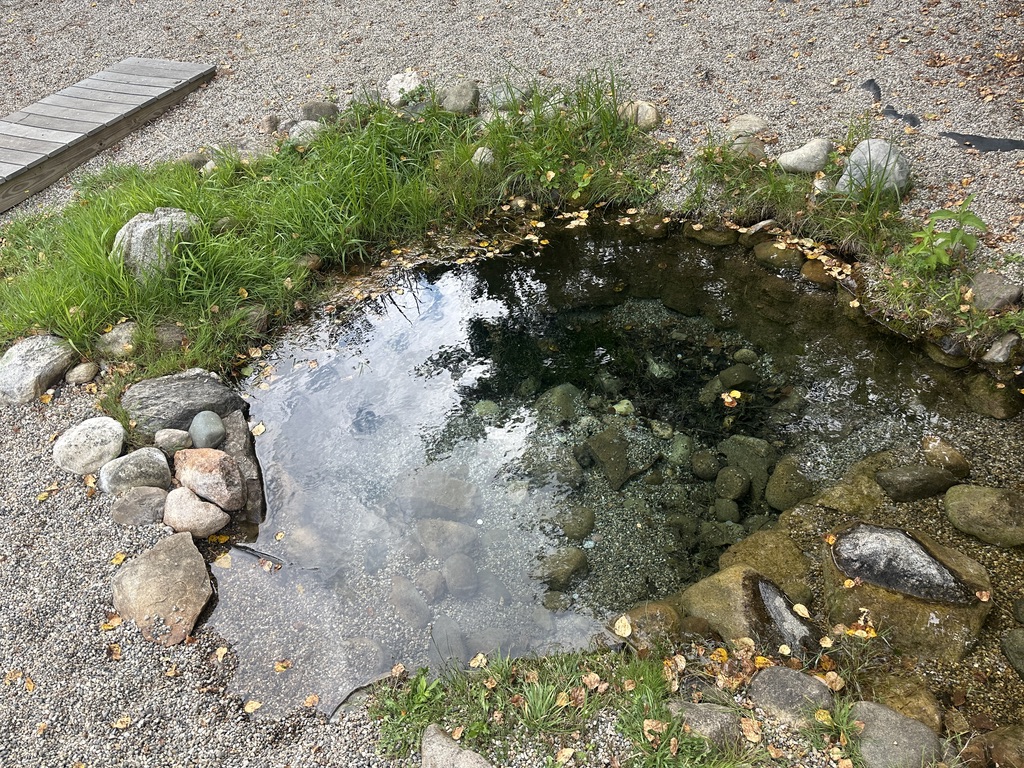 Close-up of the spring