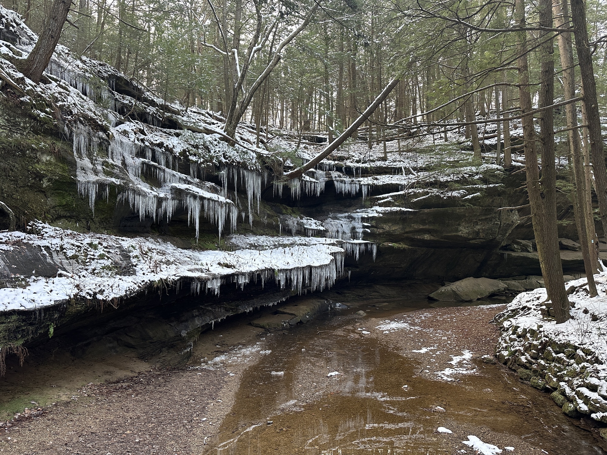 Icicles
