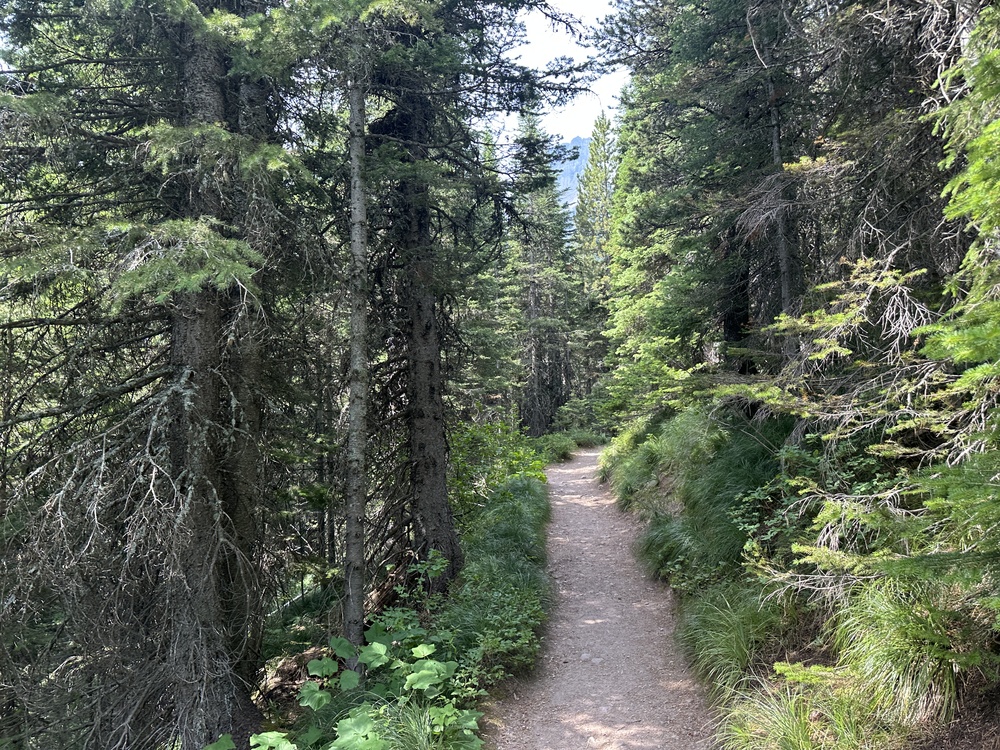 11:58