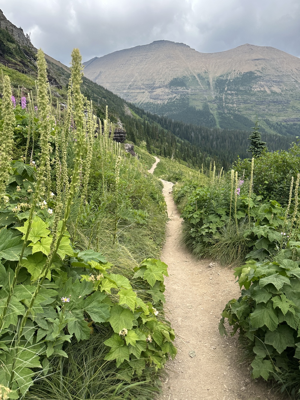 15:23