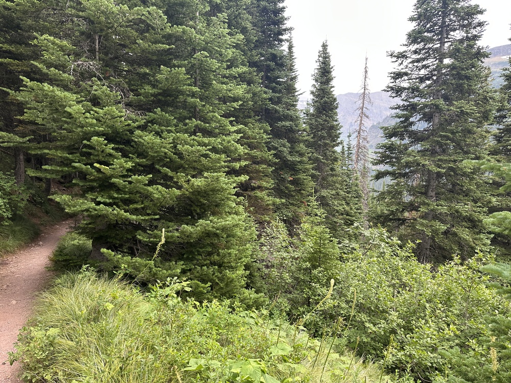 15:43