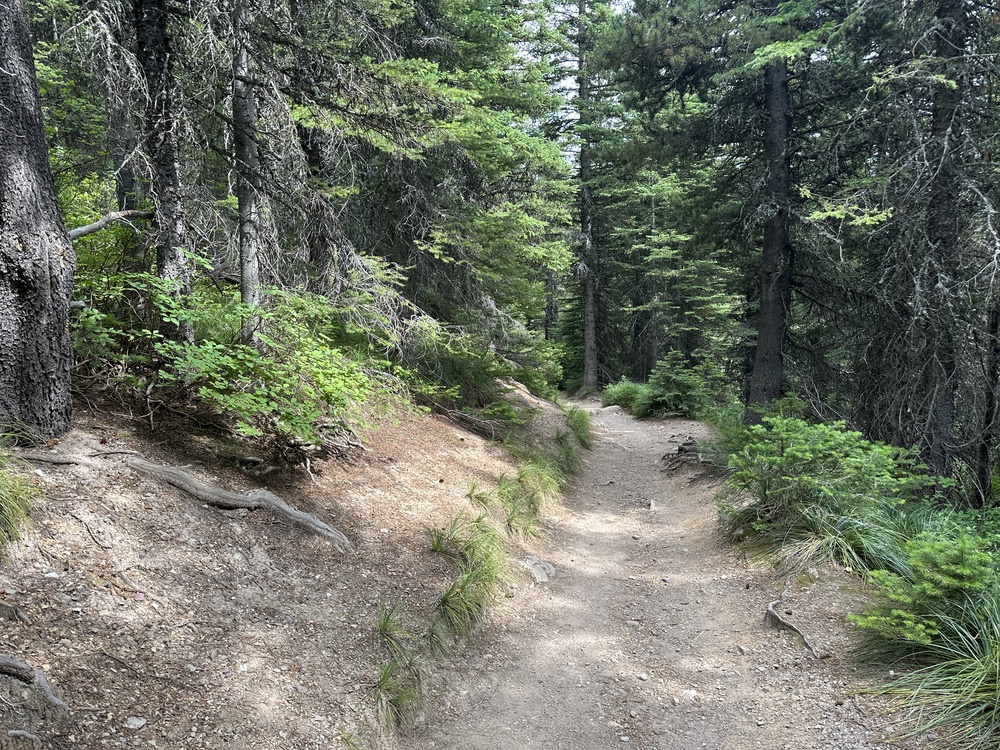 15:55