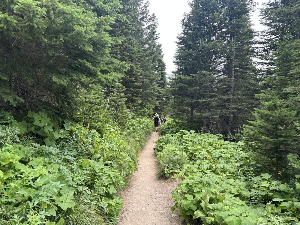 16:24