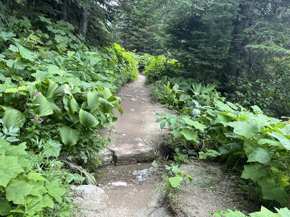 16:25