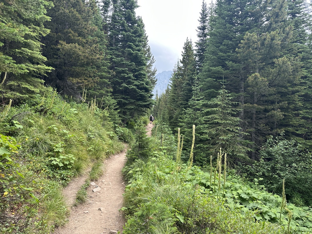 16:26