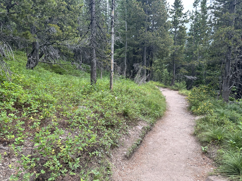 16:29