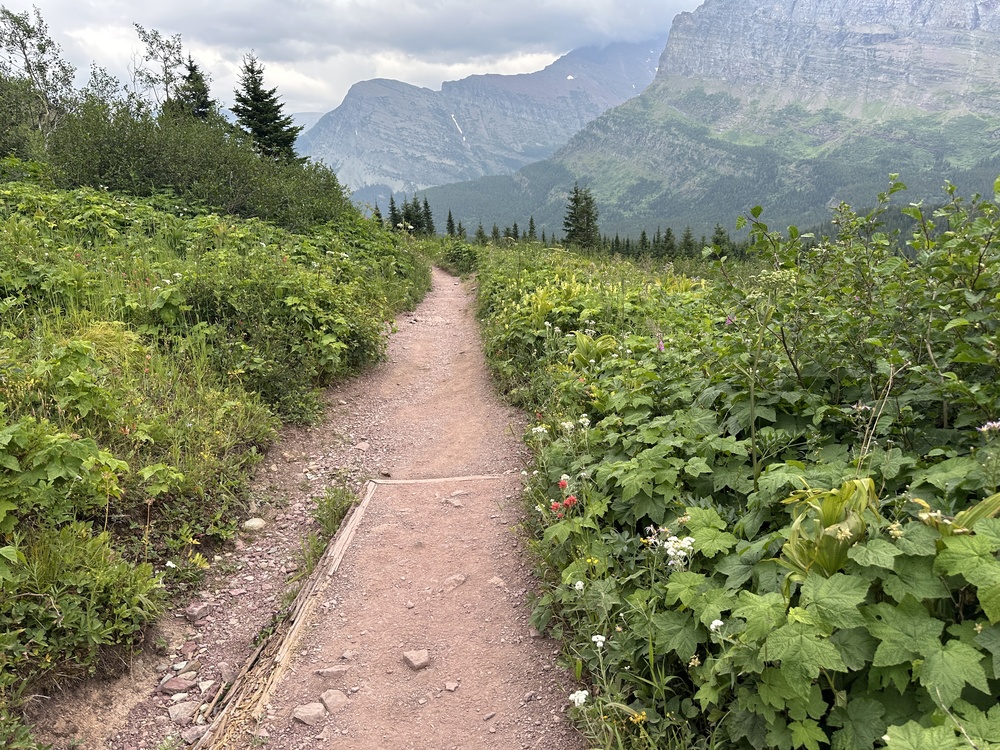 16:36