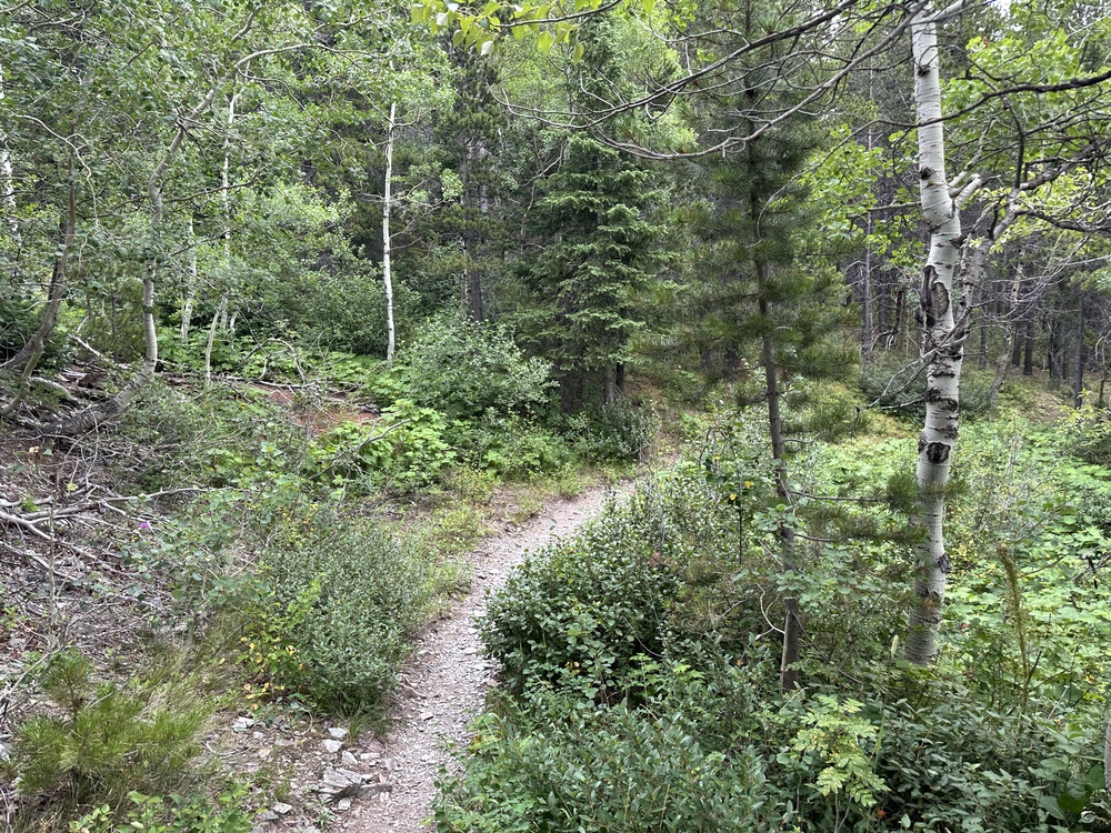 17:13