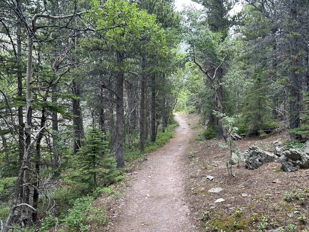 17:17