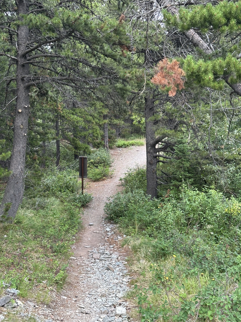 17:32