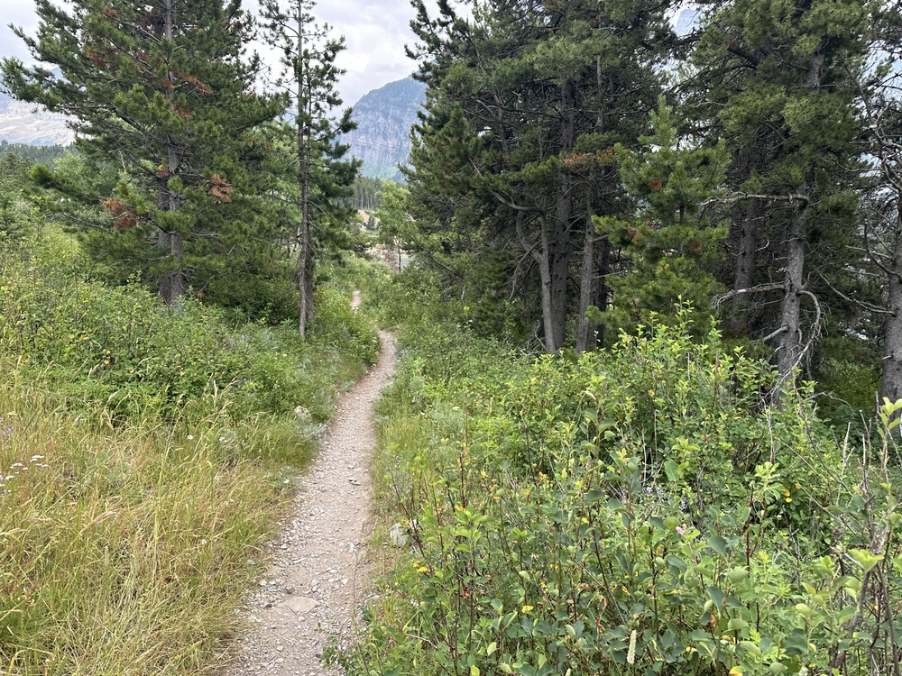 17:34