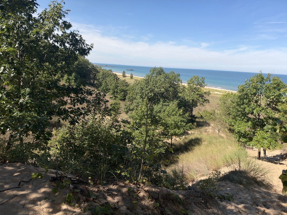 Shoreline view from top of dune