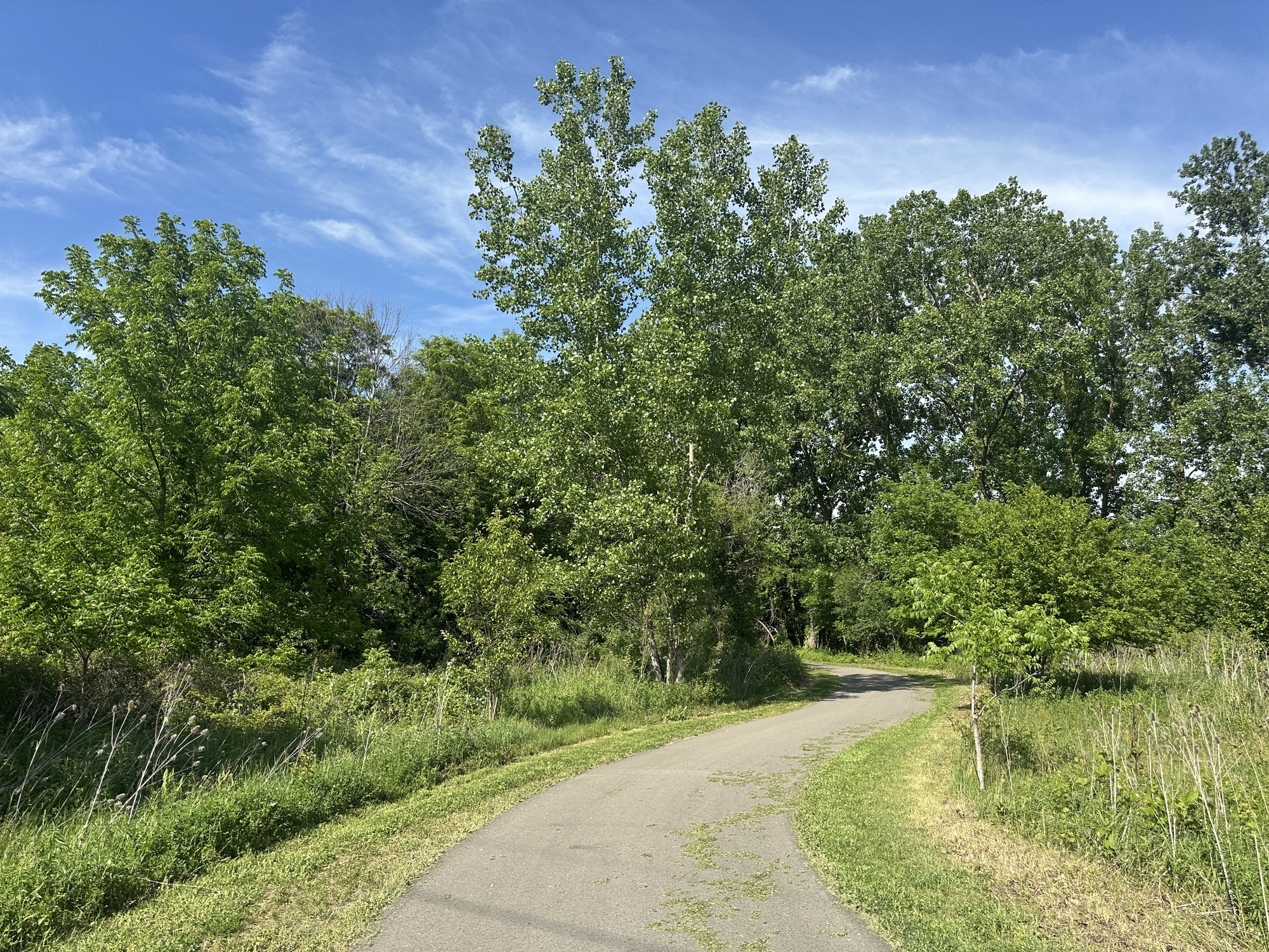 Trail