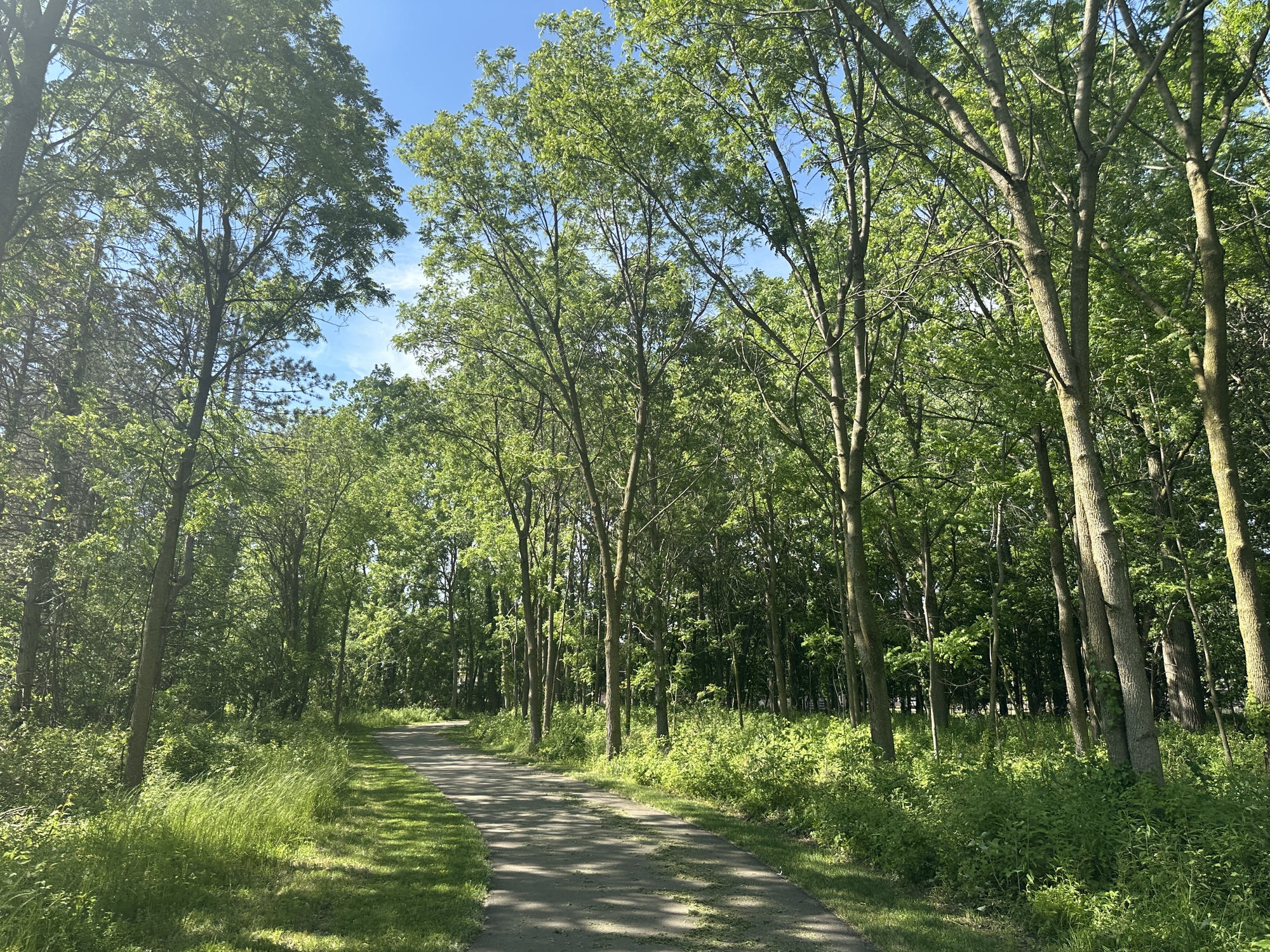 Trail