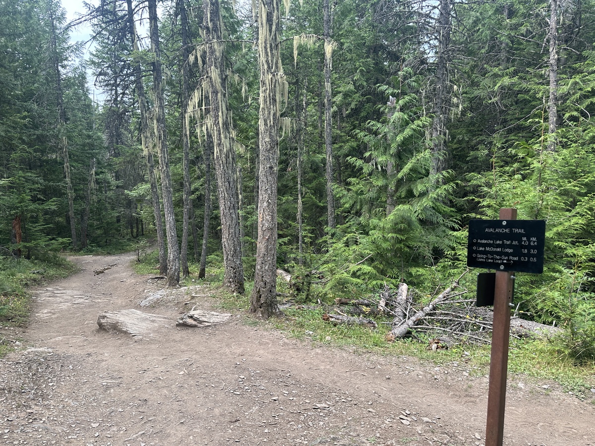 11:39