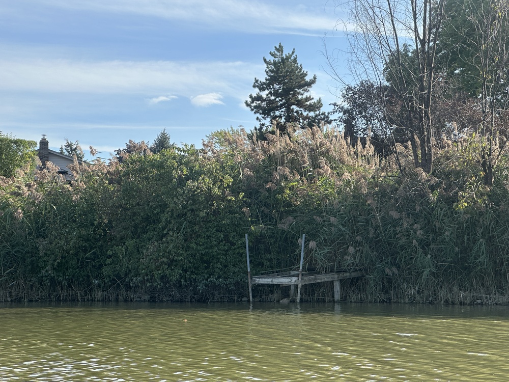 dock