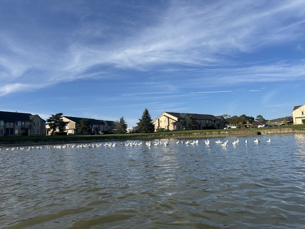 sandbar