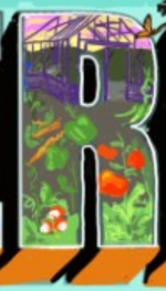 R
