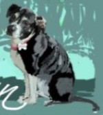 Another dog