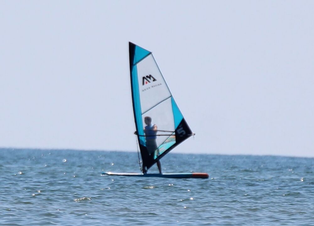 Windsurfer
