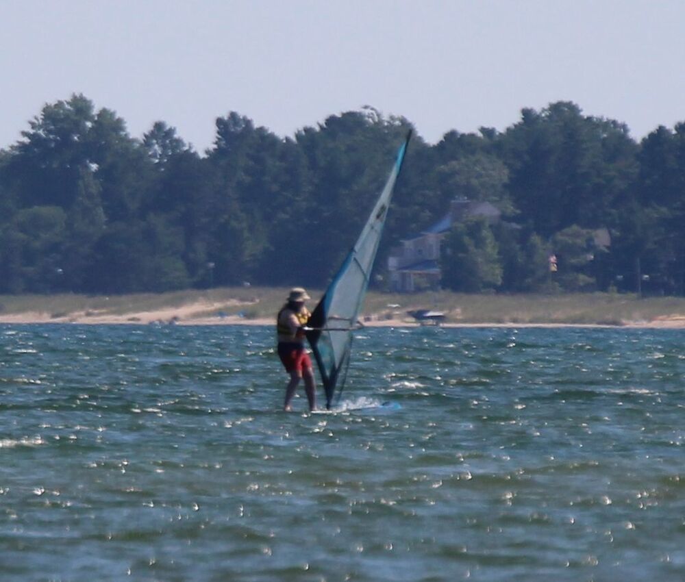 Windsurfer
