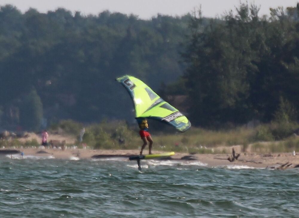 Windsurfer