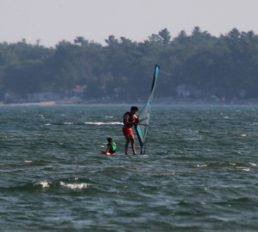 Windsurfer