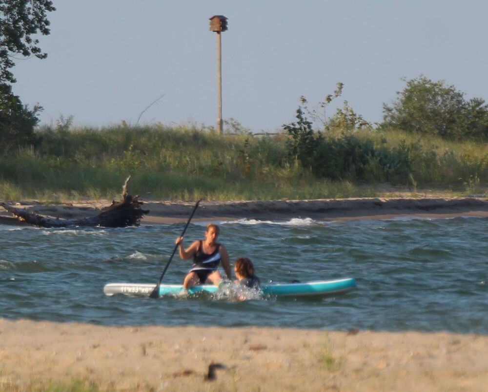 Kayakers