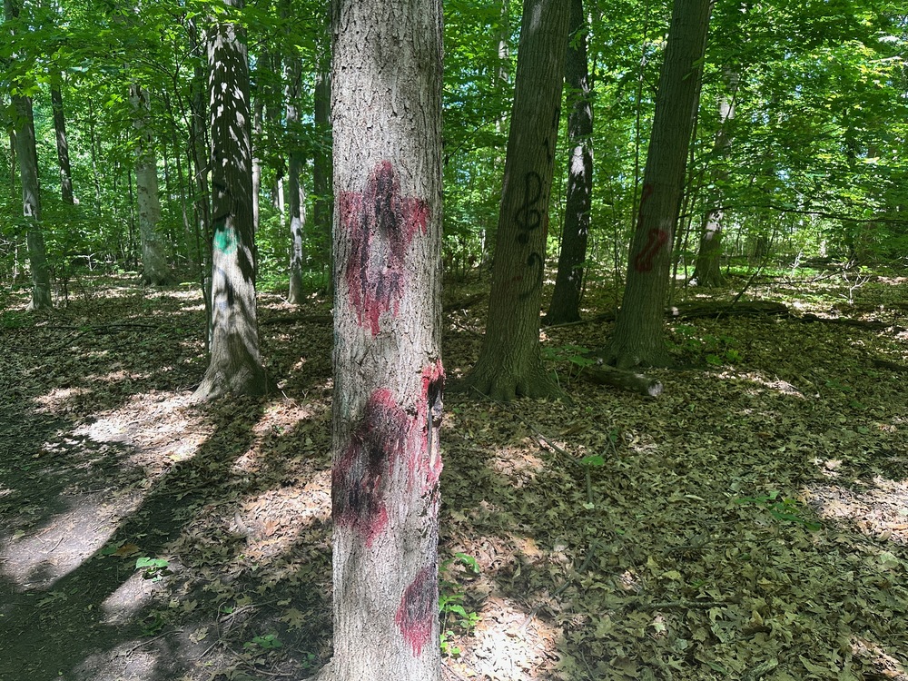 Graffiti