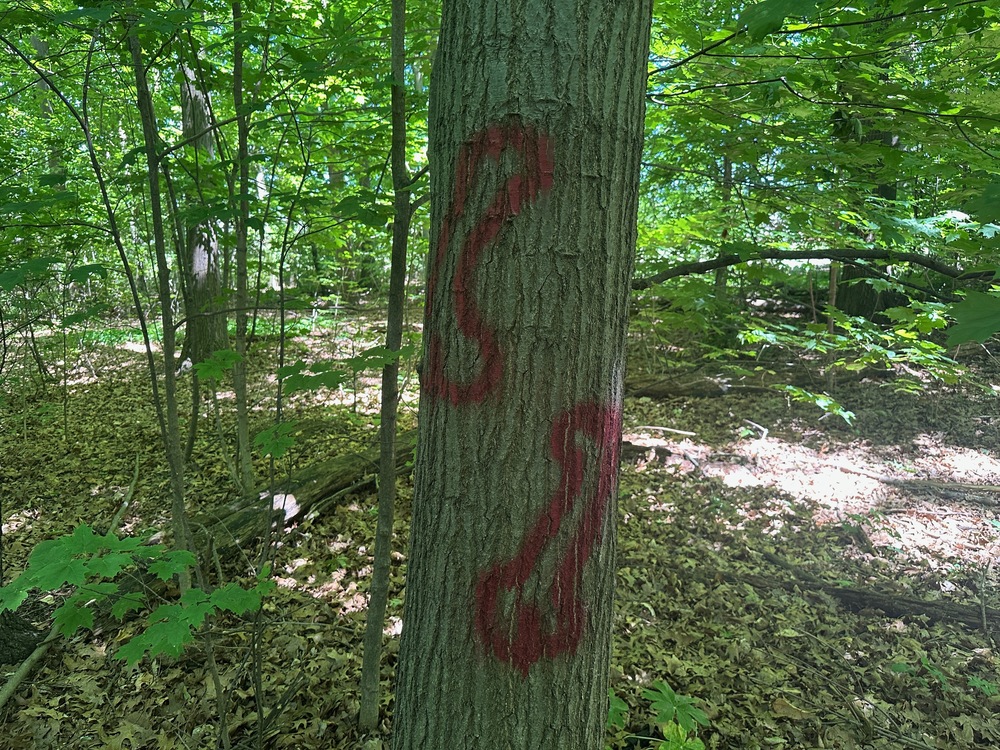 Graffiti