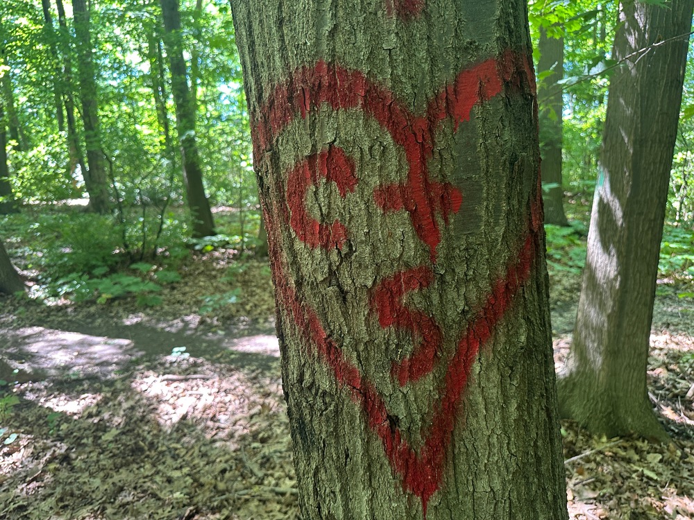 Graffiti