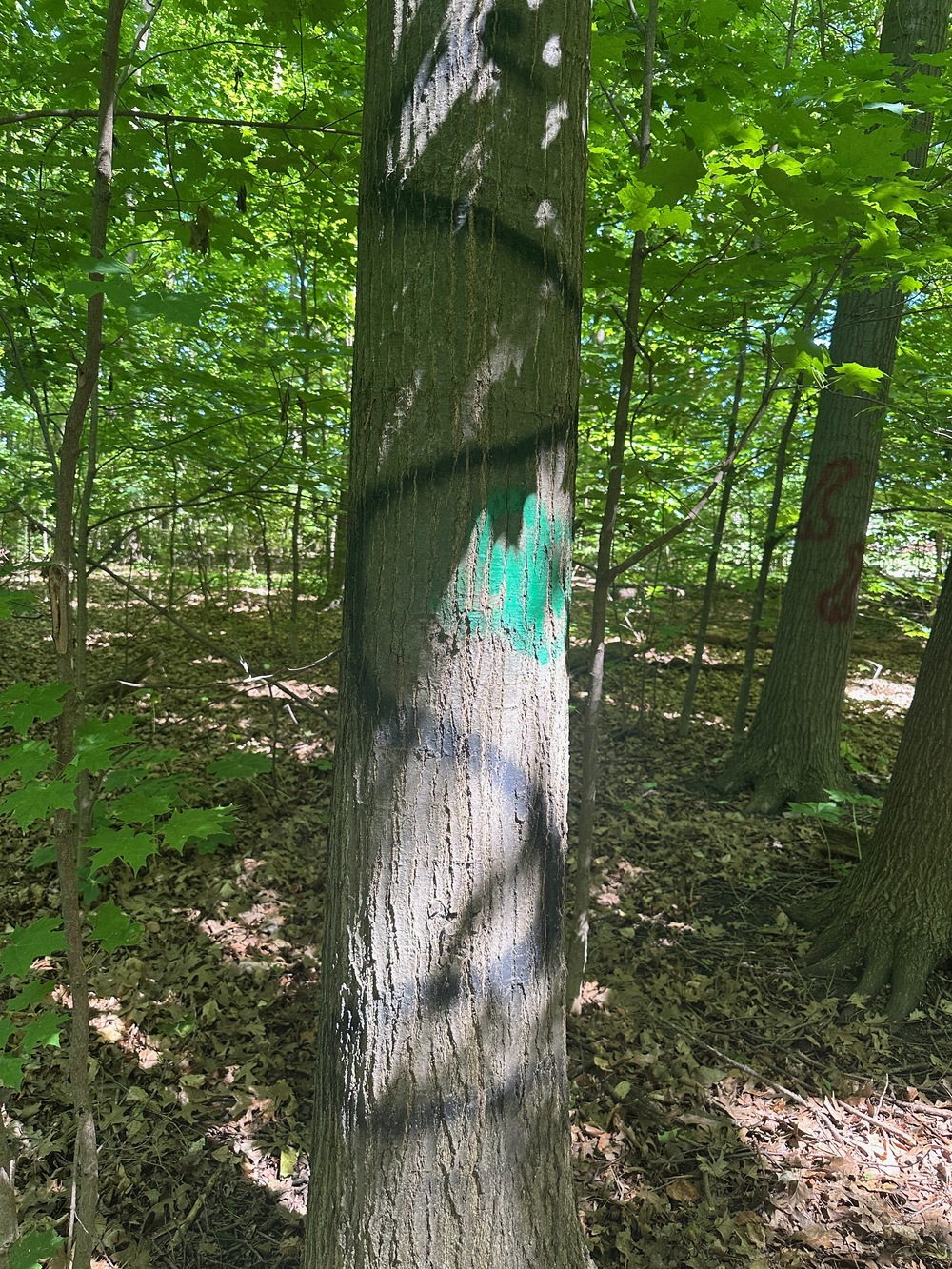 Graffiti