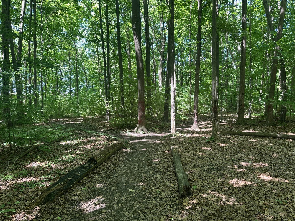 Junction point of the trails