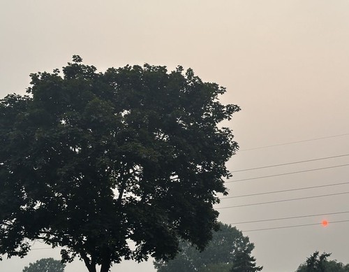 Red sun