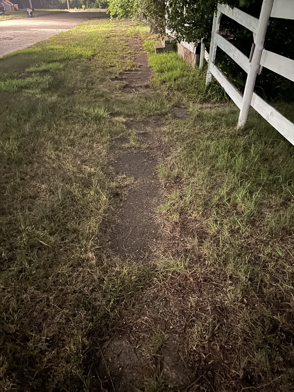 Overgrown sidewalk