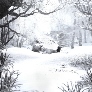winter