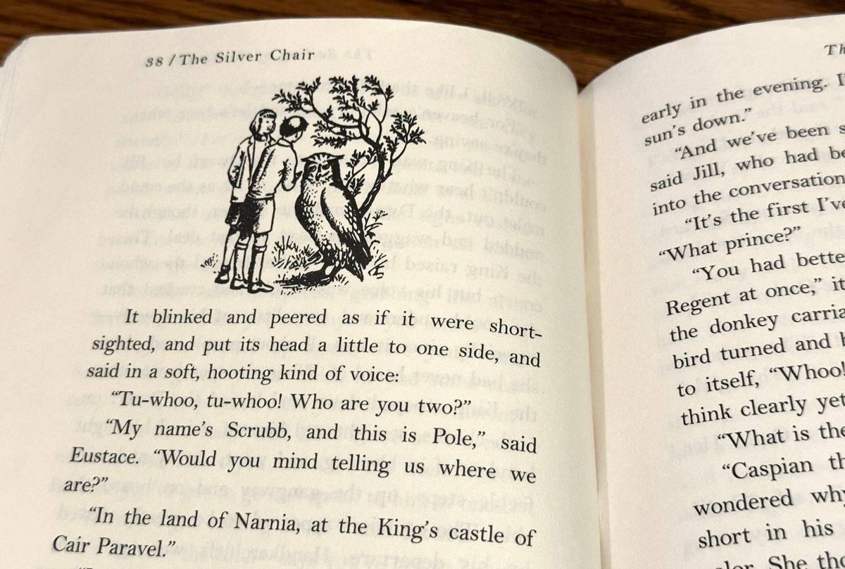 A page from &lsquo;The Silver Chair&rsquo; by C.S. Lewis.
